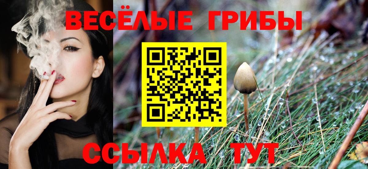 Псилоцибиновые грибы прущие грибы  где можно купить наркотик  Кемерово  Вход с VPN 